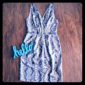 Banana Republic Dress